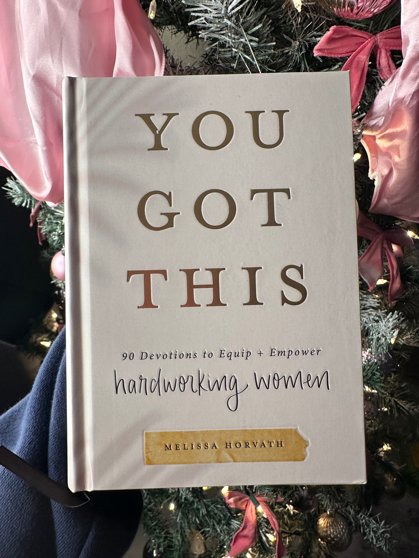 You got this book